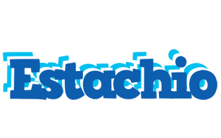 Estachio business logo