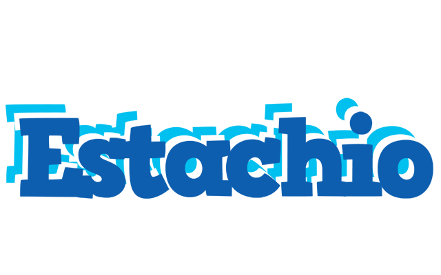 Estachio business logo