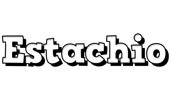 Estachio snowing logo