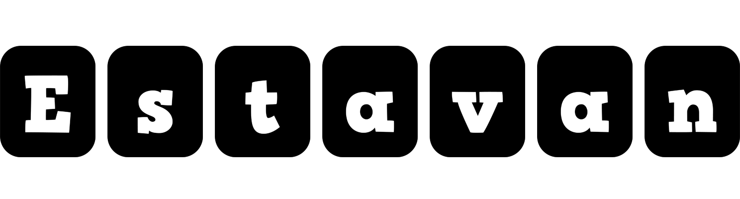 Estavan box logo