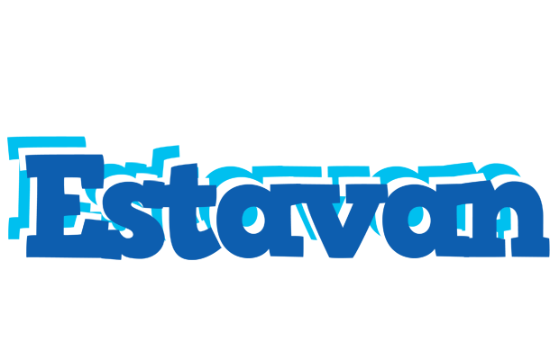 Estavan business logo