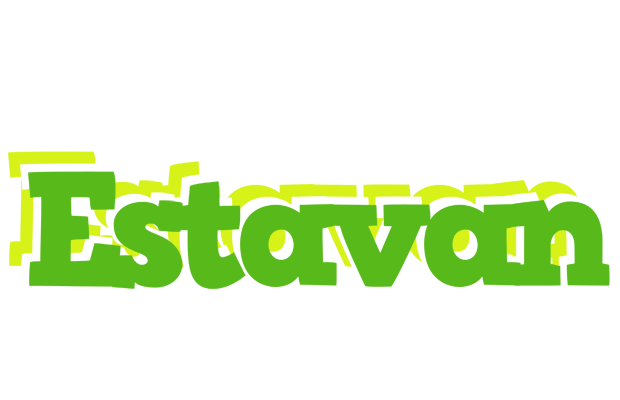 Estavan picnic logo