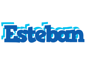 Esteban business logo