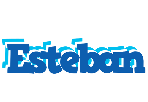 Esteban business logo