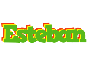 Esteban crocodile logo