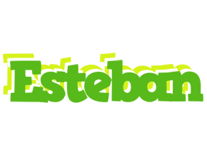 Esteban picnic logo