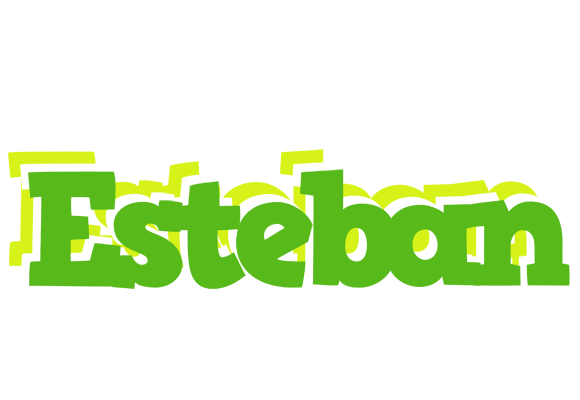 Esteban picnic logo
