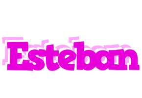 Esteban rumba logo