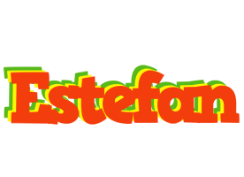 Estefan bbq logo