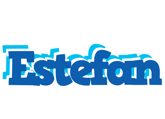 Estefan business logo