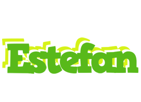 Estefan picnic logo