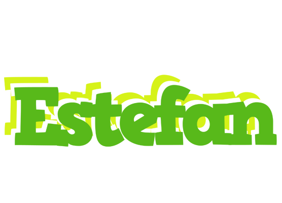 Estefan picnic logo