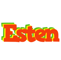 Esten bbq logo