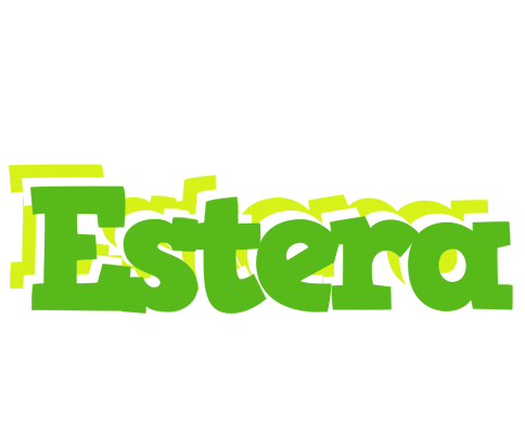 Estera picnic logo