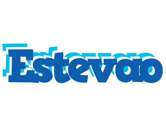 Estevao business logo