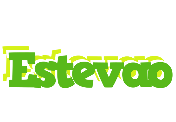 Estevao picnic logo