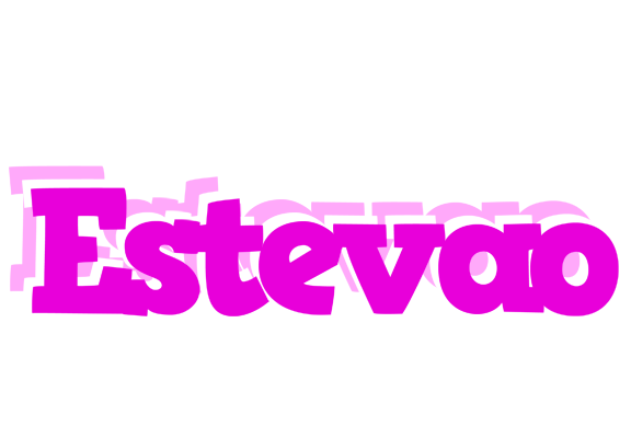 Estevao rumba logo