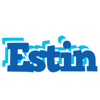 Estin business logo