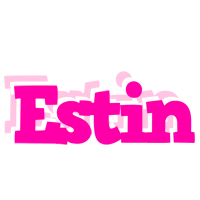 Estin dancing logo