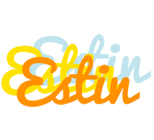 Estin energy logo