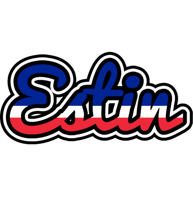 Estin france logo