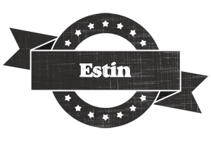 Estin grunge logo