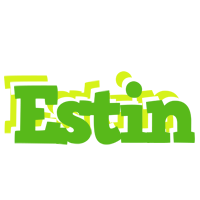 Estin picnic logo