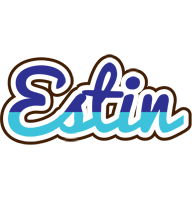 Estin raining logo