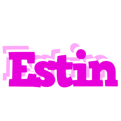 Estin rumba logo