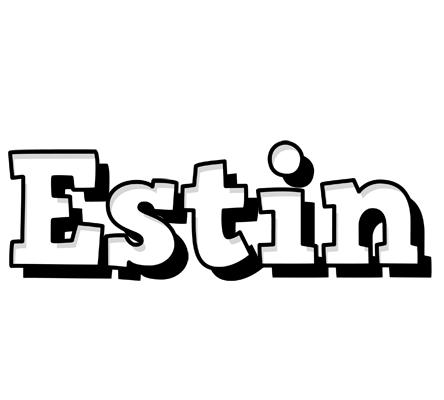 Estin snowing logo