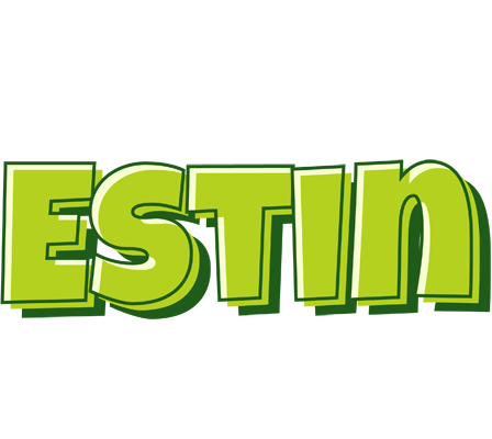 Estin summer logo