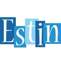 Estin winter logo