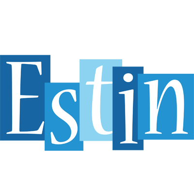 Estin winter logo