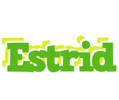 Estrid picnic logo