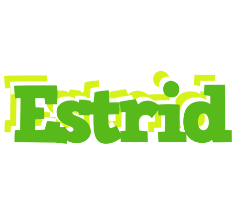 Estrid picnic logo
