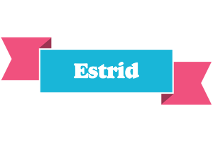 Estrid today logo