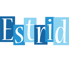 Estrid winter logo