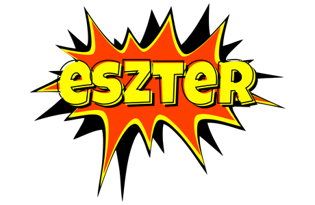 Eszter bazinga logo