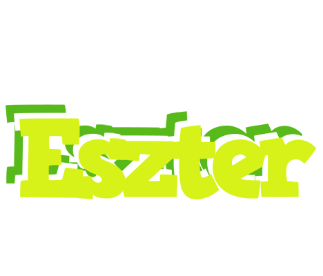 Eszter citrus logo
