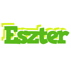 Eszter picnic logo