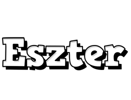 Eszter snowing logo