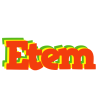 Etem bbq logo