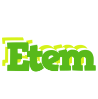 Etem picnic logo