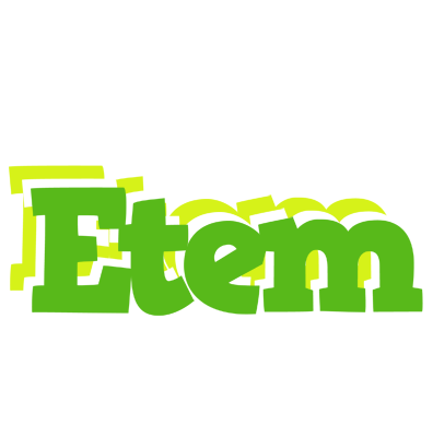 Etem picnic logo