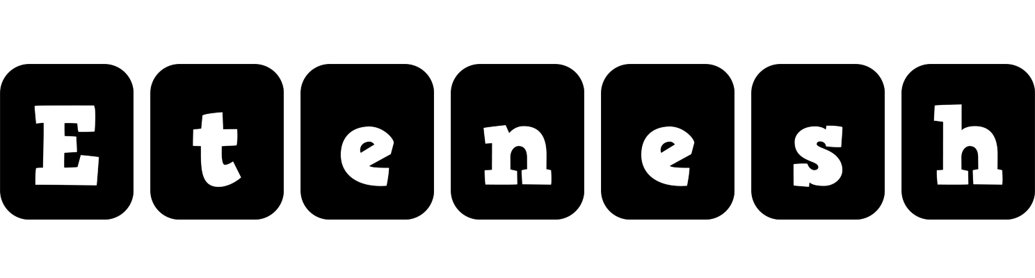 Etenesh box logo