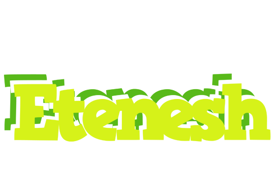 Etenesh citrus logo