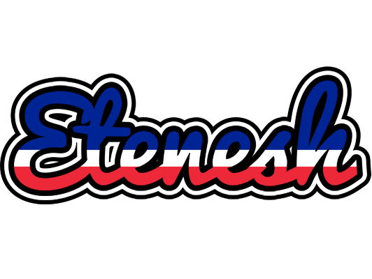 Etenesh france logo