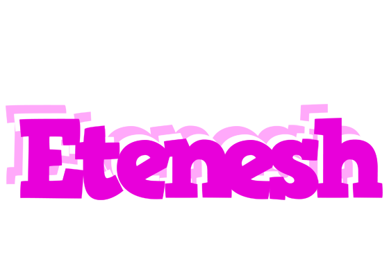 Etenesh rumba logo
