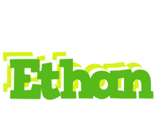 Ethan picnic logo