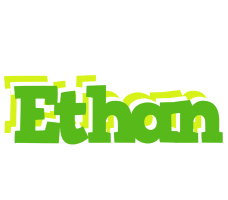Ethan picnic logo
